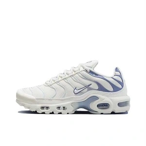 Nike Air Max Plus Ashen Slate