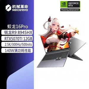 Mechrevo 16 pro R9- 8945HX Rtx 5070ti 32/1tb 16 inch, 300Hz display